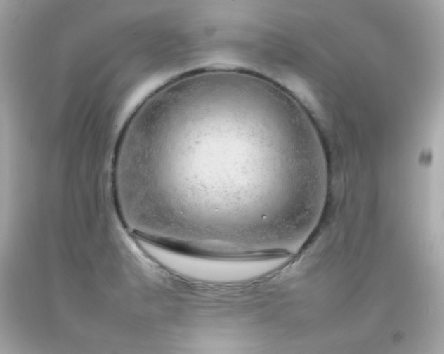 X0000092061183200709121348