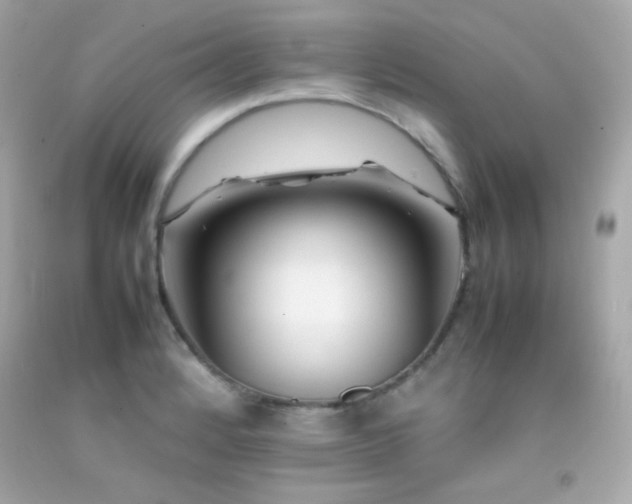 X0000092061184200709121348