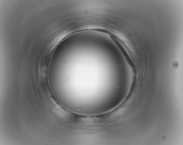 X0000092061185200709121348