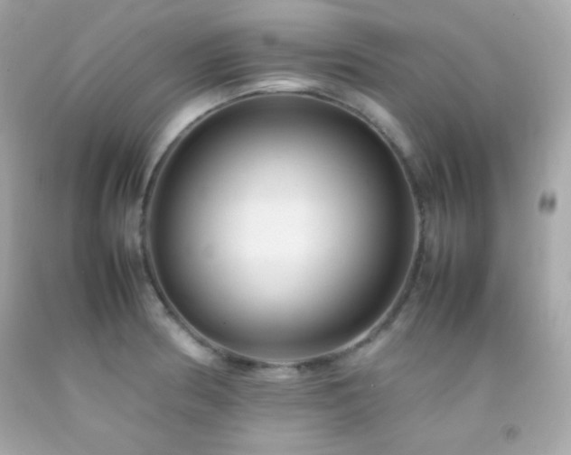 X0000092061186200709121348