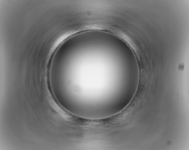 X0000092061187200709121348