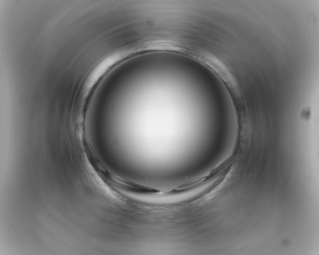 X0000092061188200709121348