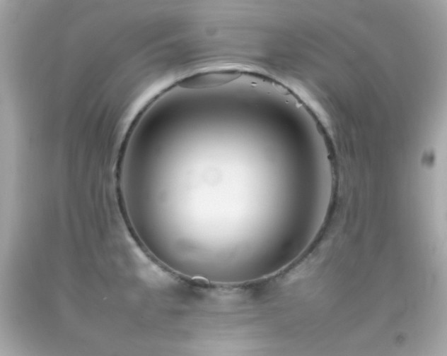 X0000092061189200709121348
