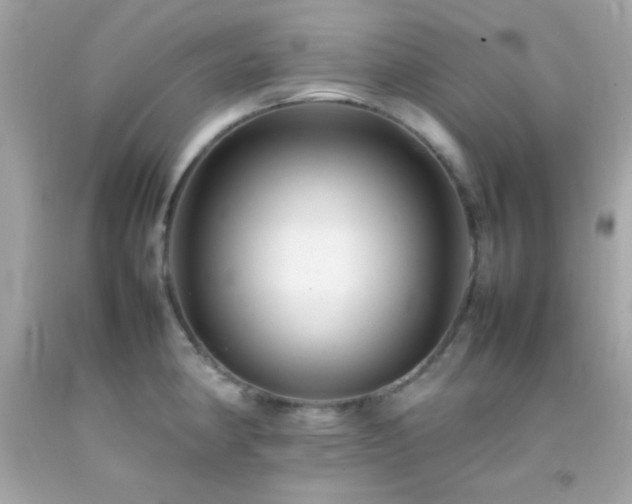 X0000092061190200709121348