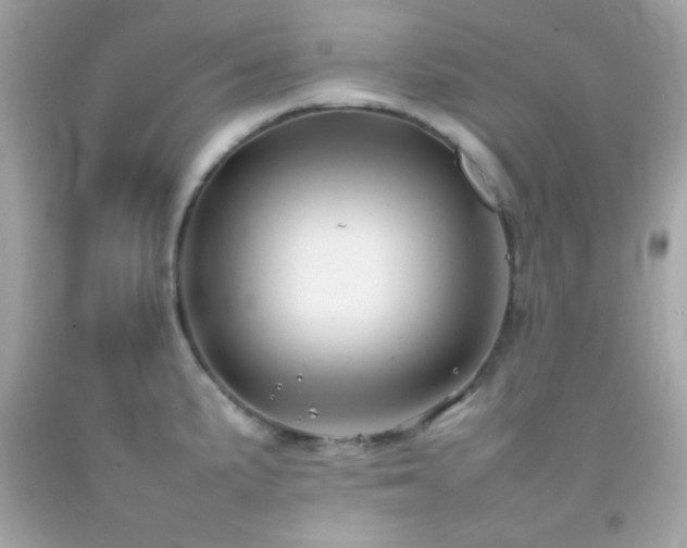 X0000092061191200709121348