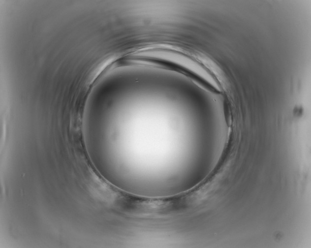 X0000092061193200709121348