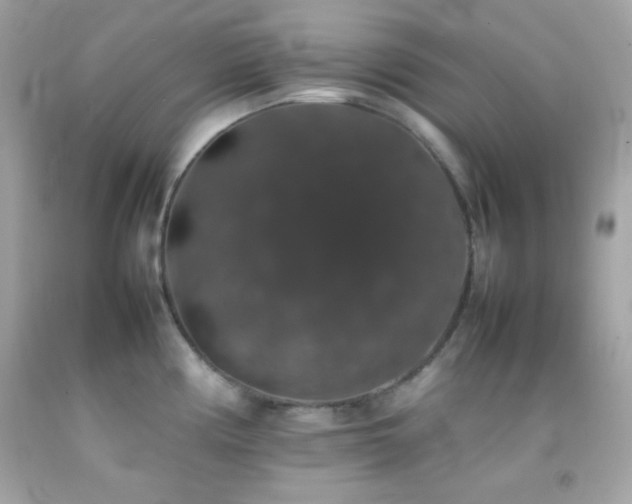 X0000092061194200709121348