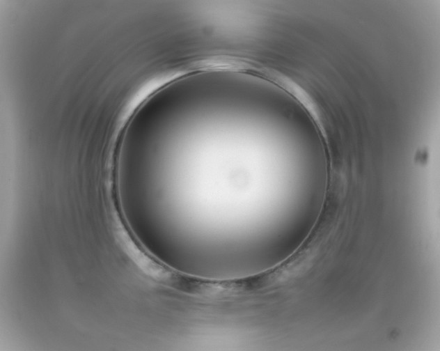 X0000092061195200709121348