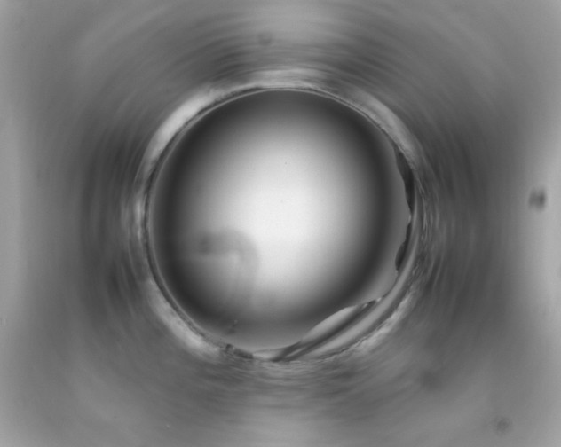 X0000092061196200709121348