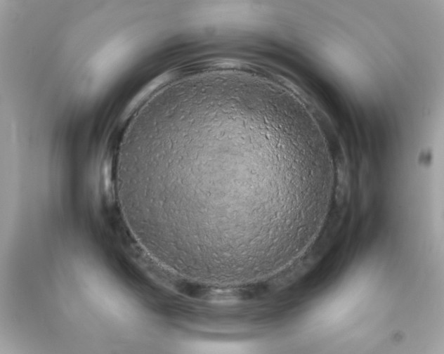X0000092061198200709121348