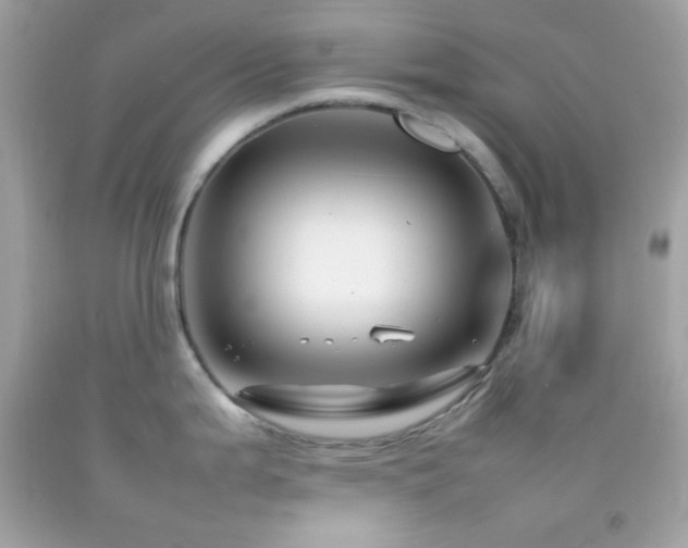 X0000092061199200709121348