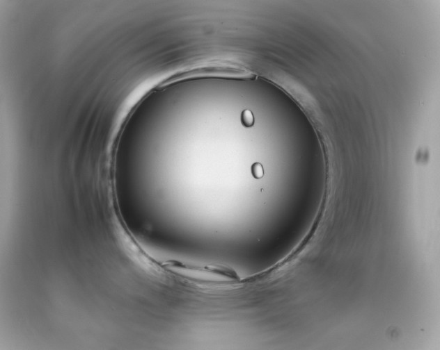 X0000092061200200709121348