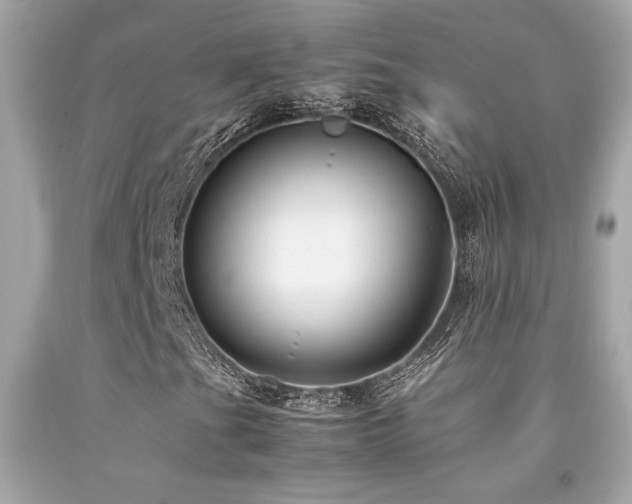 X0000092061201200709121348