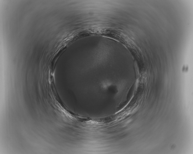 X0000092061202200709121348