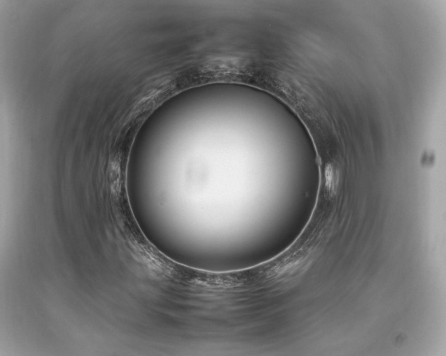 X0000092061203200709121348