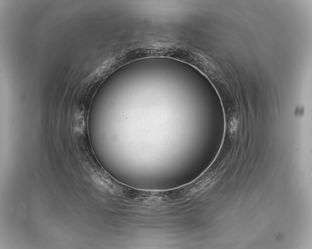 X0000092061204200709121348