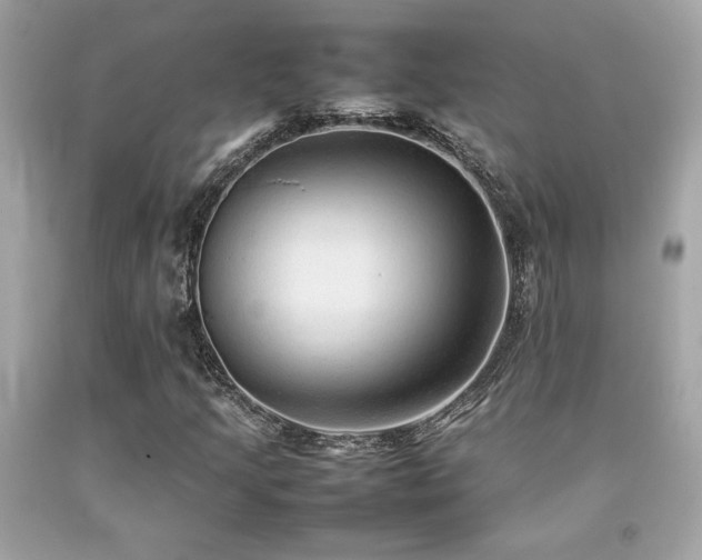 X0000092061205200709121348