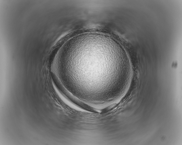 X0000092061206200709121348