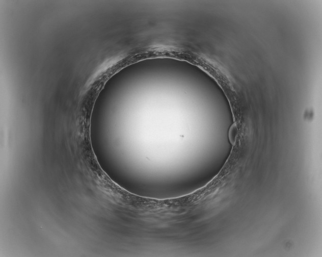 X0000092061207200709121348
