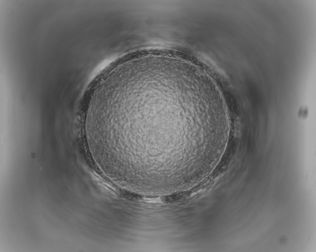 X0000092061208200709121348