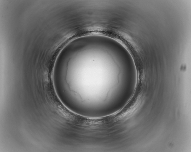 X0000092061209200709121348