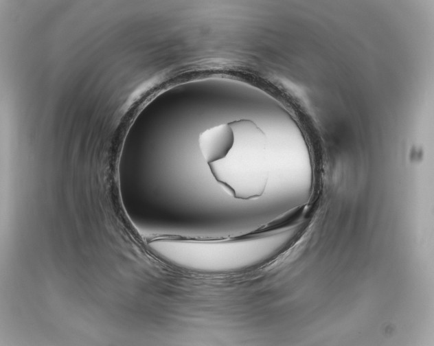 X0000092061210200709121348