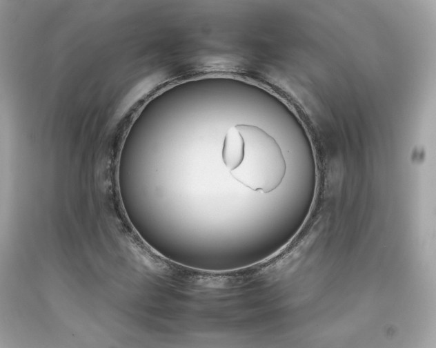 X0000092061211200709121348