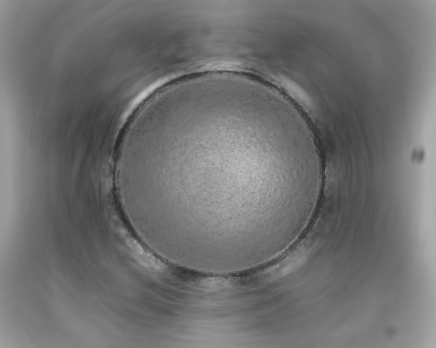 X0000092061212200709121348