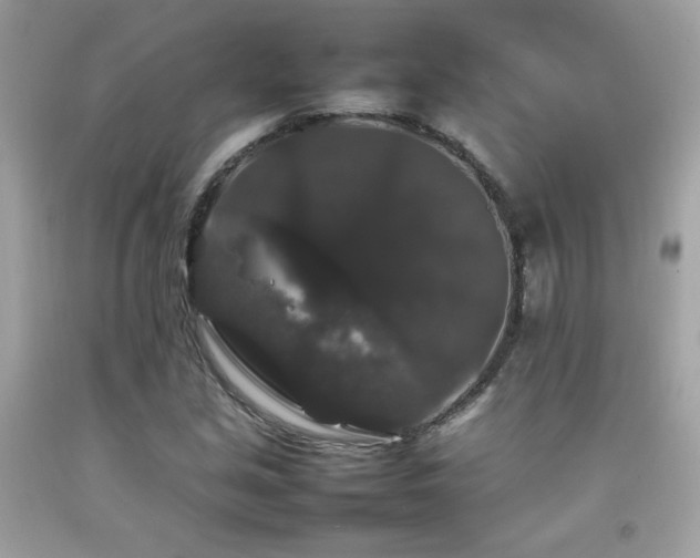 X0000092061213200709121348