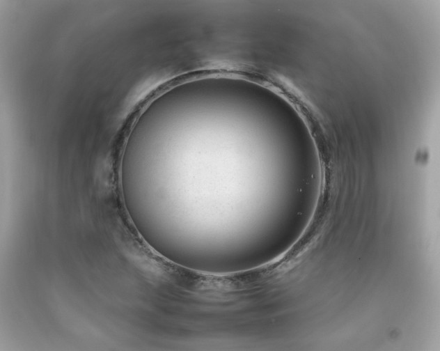X0000092061215200709121348