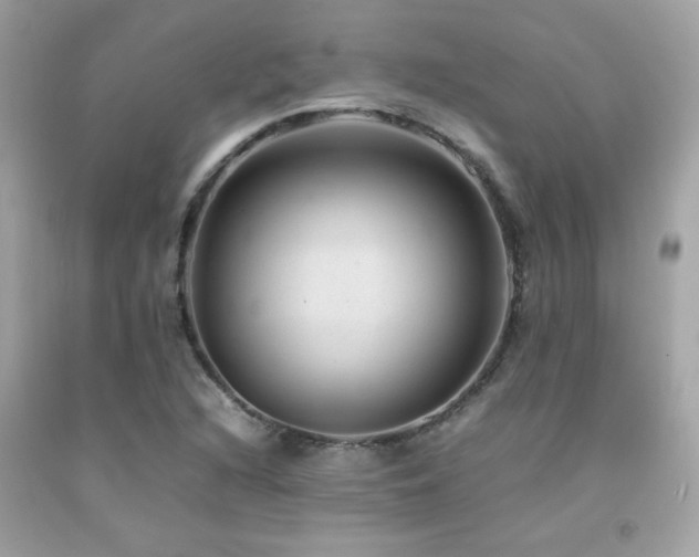 X0000092061216200709121348