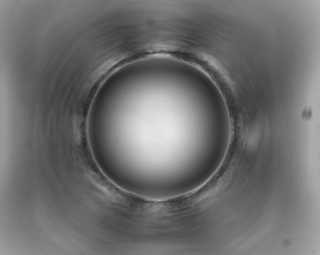 X0000092061217200709121348