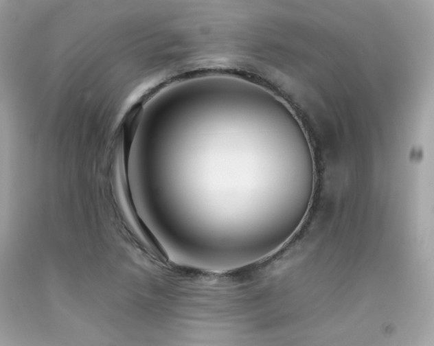 X0000092061218200709121348
