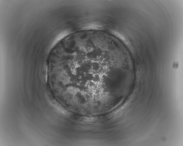 X0000092061219200709121348