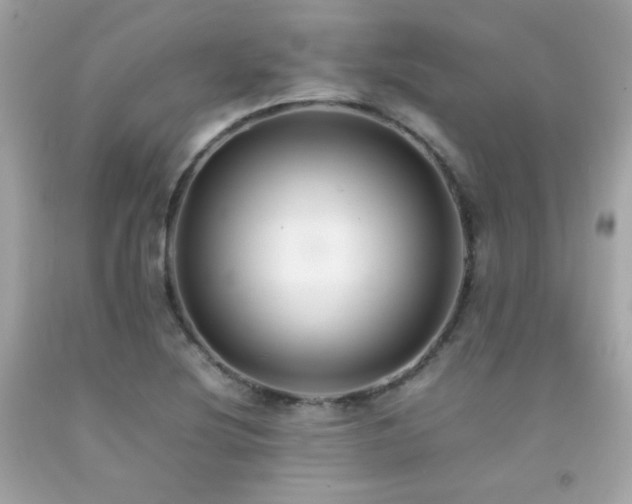 X0000092061220200709121348