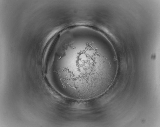 X0000092061221200709121348