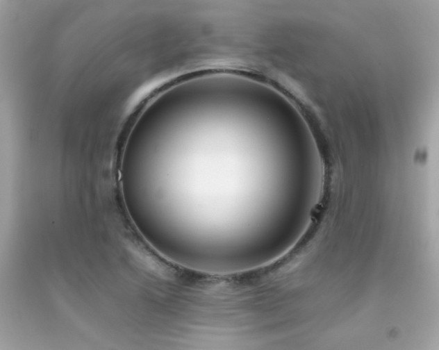 X0000092061222200709121348
