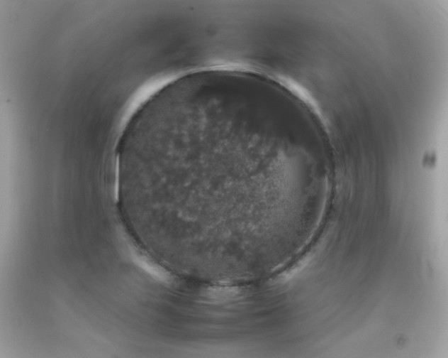 X0000092061223200709121348