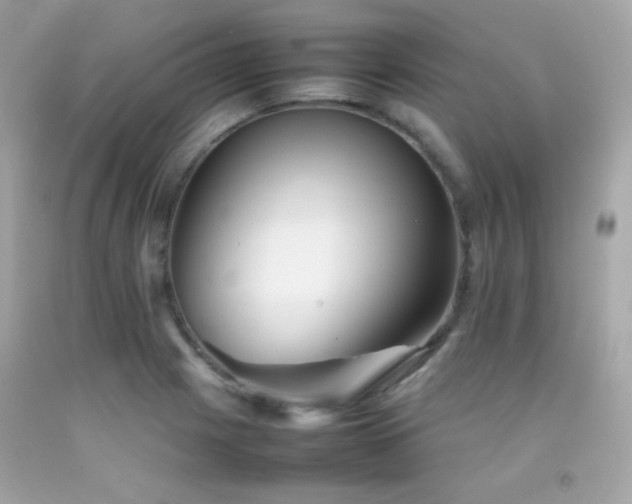 X0000092061225200709121348
