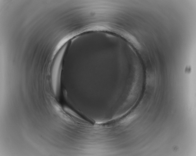 X0000092061226200709121348