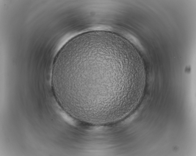 X0000092061228200709121348