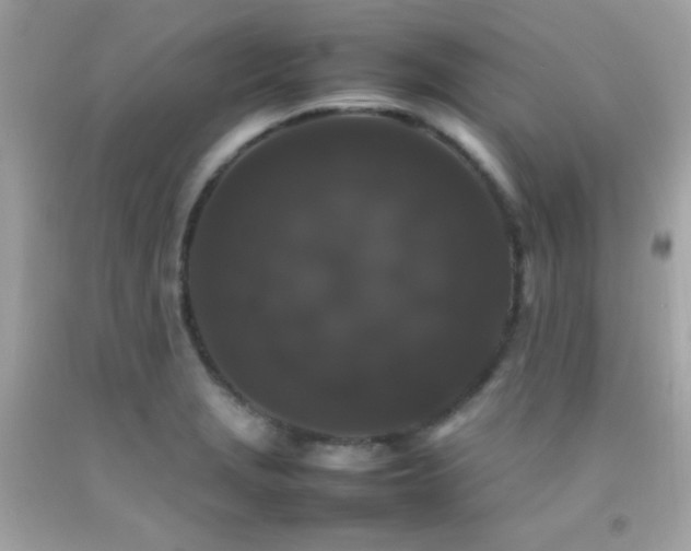 X0000092061229200709121348