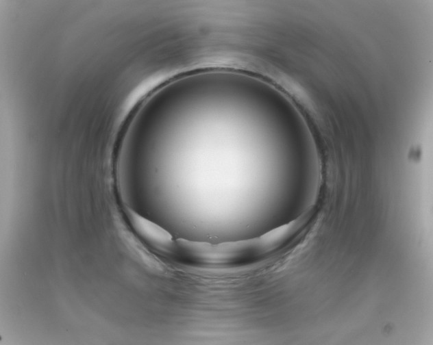 X0000092061230200709121348
