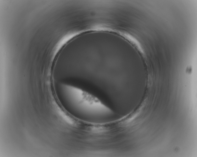X0000092061231200709121348