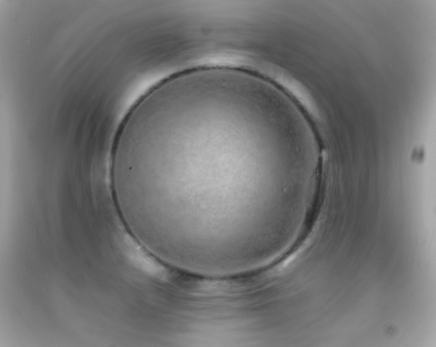 X0000092061232200709121348