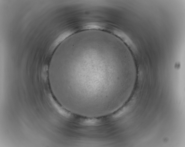 X0000092061233200709121348