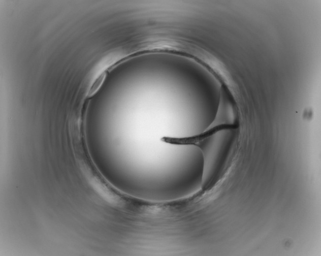 X0000092061234200709121348