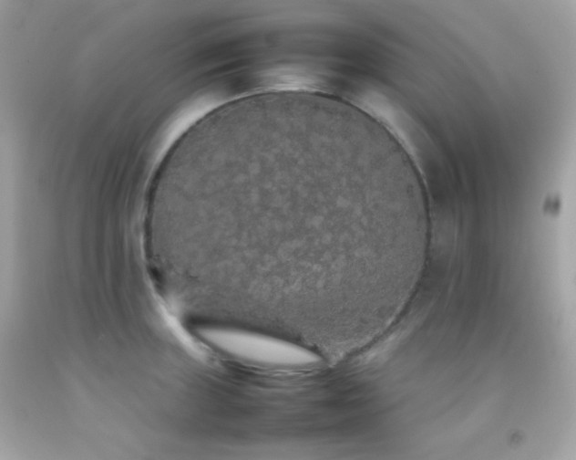 X0000092061235200709121348