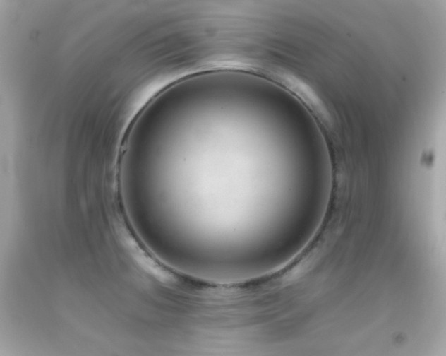 X0000092061236200709121348