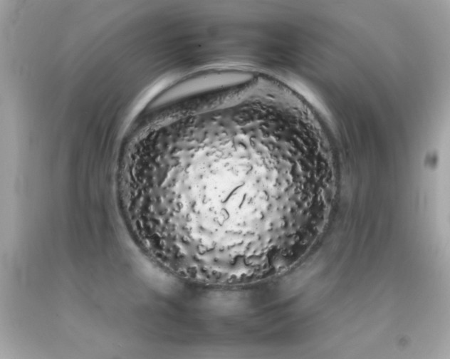 X0000092061237200709121348